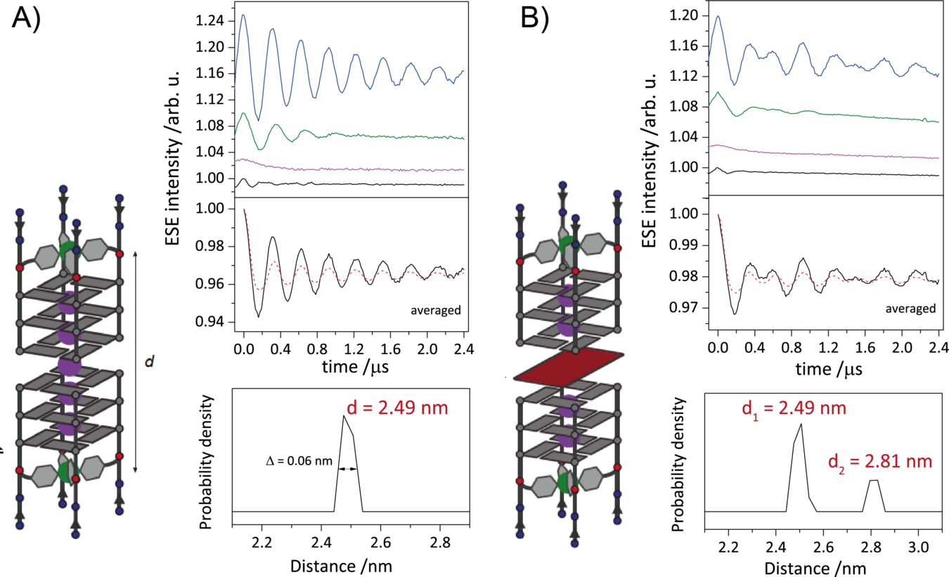 Picture of DNA G-quadruplex dimers and a corresponding sandwich complex