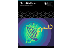 Cover ChemBioChem