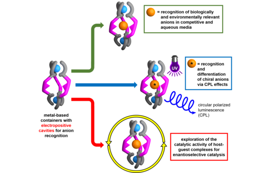 Overview of research interests based on anion recognition with metal-assembled containers.