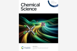 Cover art showing three Pd2L4 cages with a flow animation