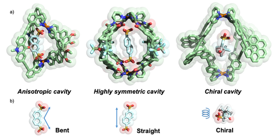 The figure shows a comparison of cavity morphologies and suitable guest geometries realized by different assembly strategies