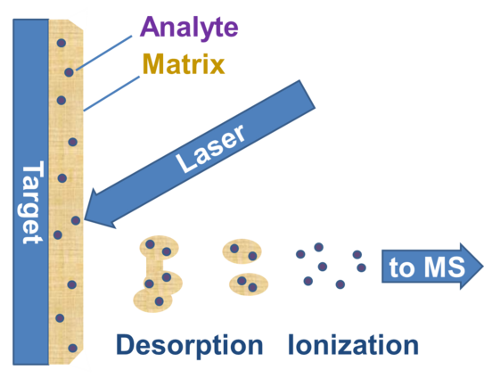 Matrix-assisted laser desorption/ionization system AS-SMALDI