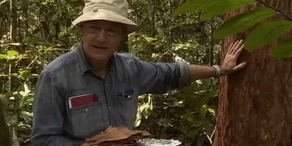Prof. Spiteller