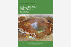 Cover Colloids And Surfaces B 2019/178