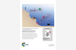 Cover Physical Chemistry Chemical Physics 2018, 20. 13159