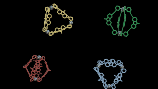 Animation showing the assembly of a heteroleptic ABCD cage from 4 homoleptic cages.
