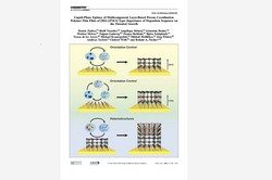 Cover Chemistry A European Journal