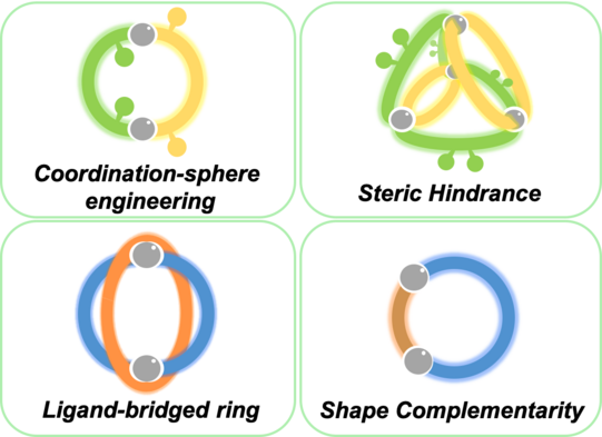 Schematic representation of self-assembly strategies leading to the non-statistical formation of mixed-ligand coordination cages.
