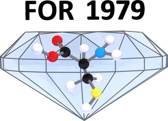 Logo FOR1979