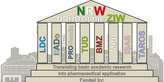 Organisationsstruktur DDHD Organisationsstruktur DDHD