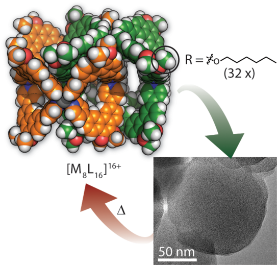 X-ray structure and TEM image of an interlocked M8L16 container.