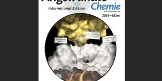 Titelbild Angewandte Chemie