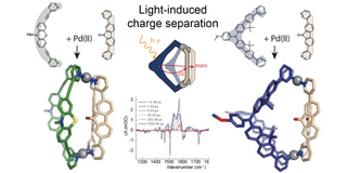 Grafische Zusammenfassung