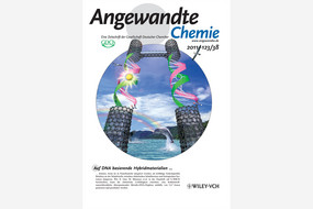 Inside-Cover Angewandte Chemie 2011-123/38