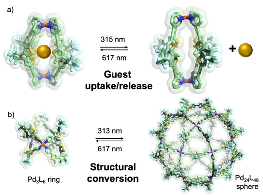 The figure shows light-trigerred interconversions between cage structures