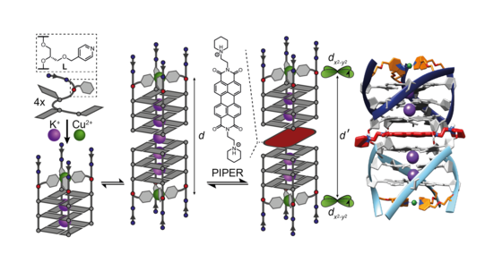 Schematic illustration