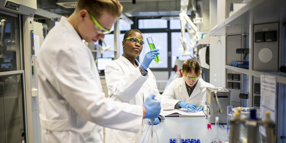 Studierende im Labor