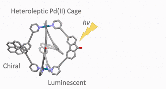 Animated picture of the chirality transfer in a host-guest system showing a CPL effect