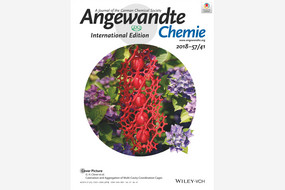 Front-Cover Angewandte Chemie 2018-57/41