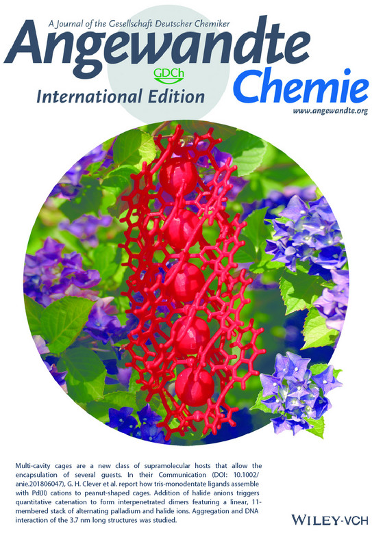 Cover Angewandte Chemie