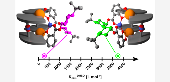 Comparison of the dimerization behavior of cyclohexyl-substituted hierarchically assembled titanium(IV) helicates