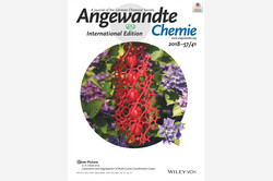 Front-Cover Angewandte Chemie 2018-57/41