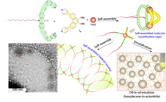 Schematic representation of the assembly of an amphiphilic coordination cage-based emulsifier and cryo-TEM images of hollow spherical vesicles formed in acetonitril.