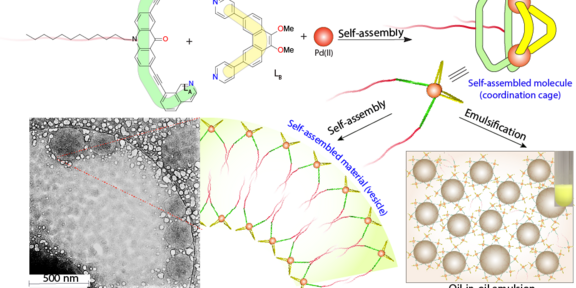 Schematic representation of the assembly of an amphiphilic coordination cage-based emulsifier and cryo-TEM images of hollow spherical vesicles formed in acetonitril.