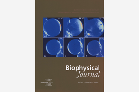 Cover Biophysical Journal