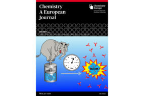 Cover Chemistry A European Journal 47/2021