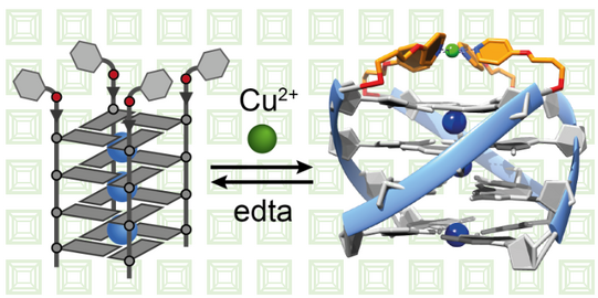 Heteroleptic Transition Metal Environment