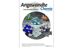 Cover Angewandte Chemie 2024