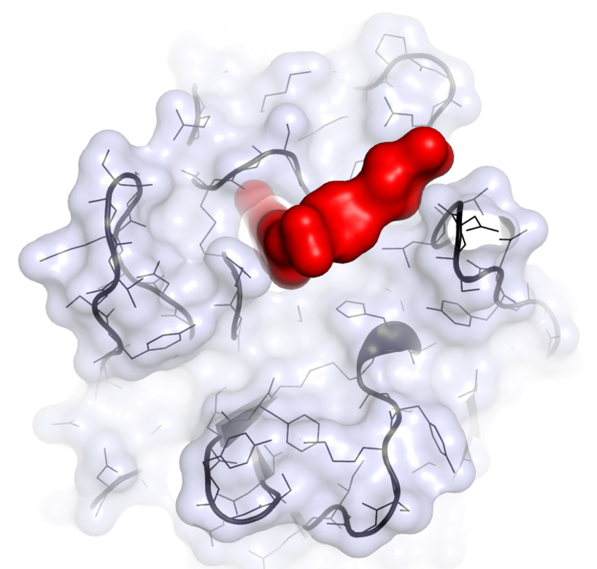 Wirkstoffmolekül im Komplex mit einem krebsrelevanten Zielprotein