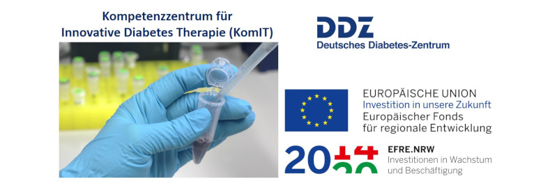DDZ-Logo und EFRE-Förderhinweise