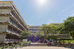 The chemistry building with green trees in front of it